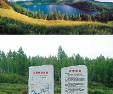 【标识案例欣赏】内蒙古·阿尔山国家森林地质公园