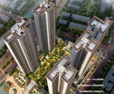 西利标识2020年3月刊 总第181期