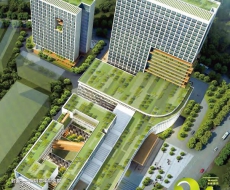 西利标识2020年12月刊 总第190期