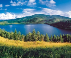 内蒙古·阿尔山国家森林地质公园丨标识欣赏