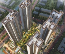 西利标识2024年11月刊 总第237期